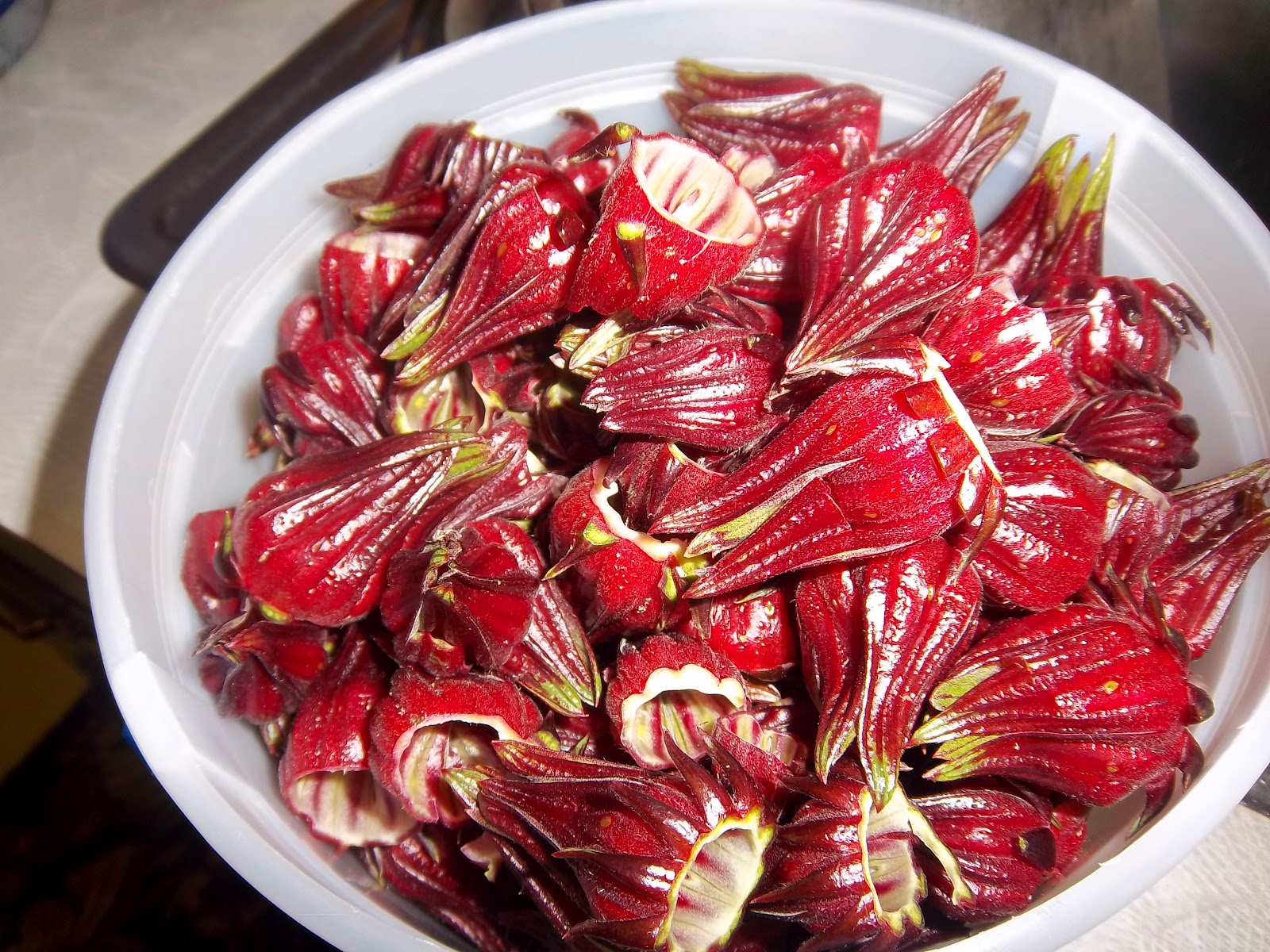 Thai Red Roselle