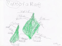 Leaf Diagram Labeled Leaf Diagram Labeled