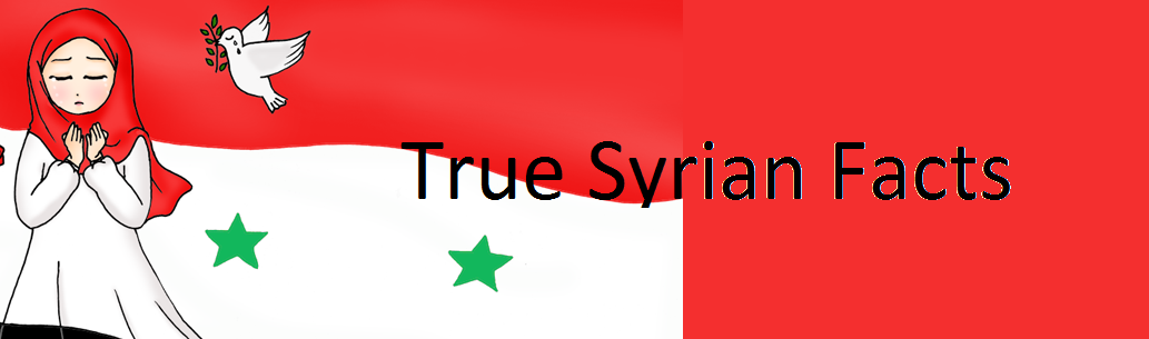 True Syrian Facts