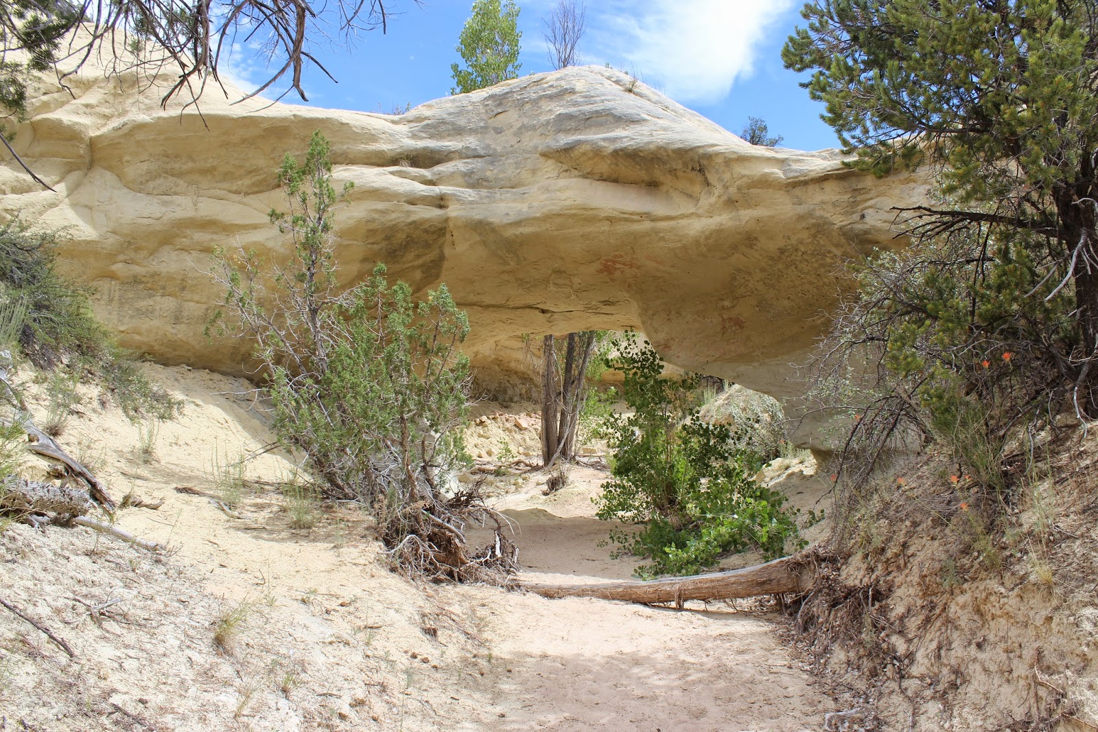 Covered Wagon Natural Bridge
