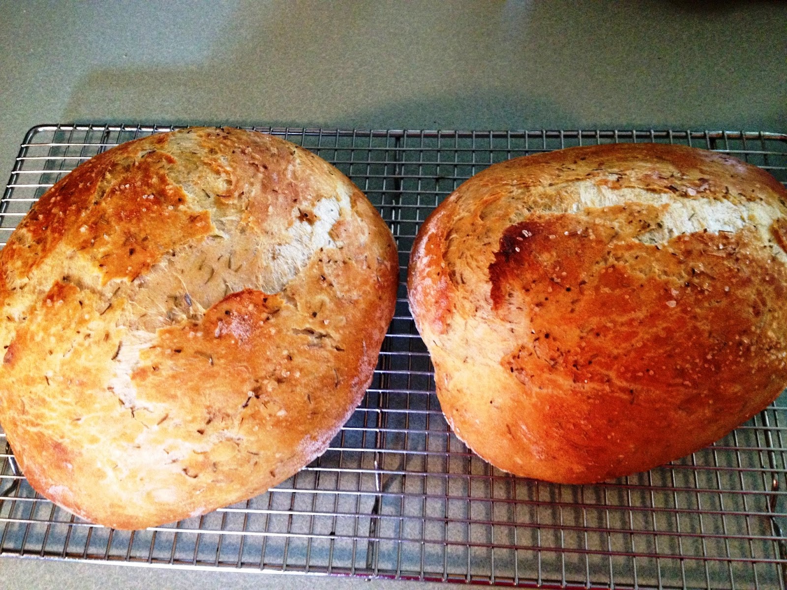 That's What Bob's Cooking "Le Creuset" Crusty Bread