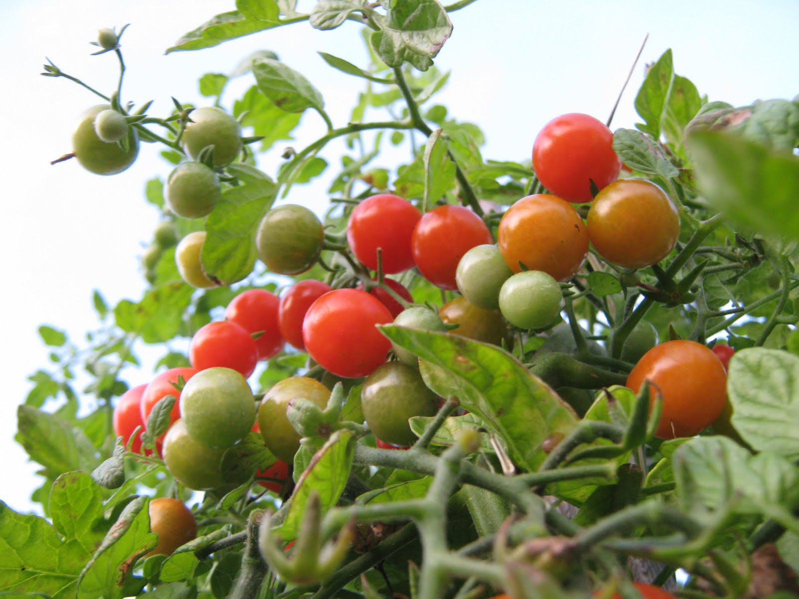 week-end thalasso en amoureux tout compris