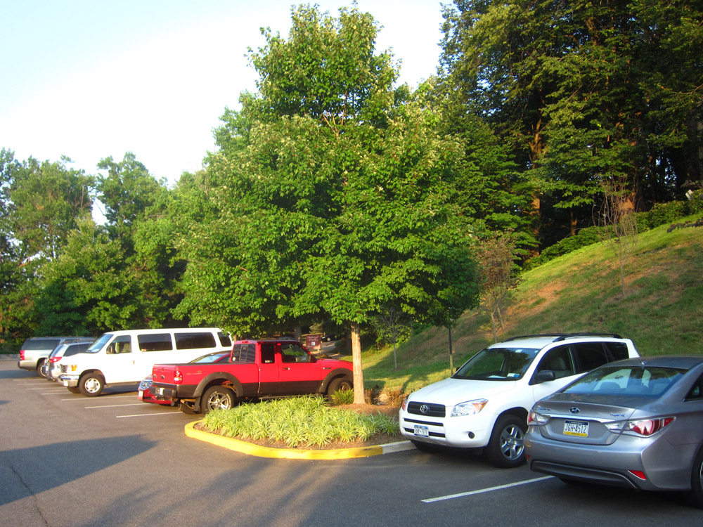 Ode Street Tribune June 2013