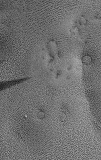 Info Leony Li Gambar: Sidik jari Mars