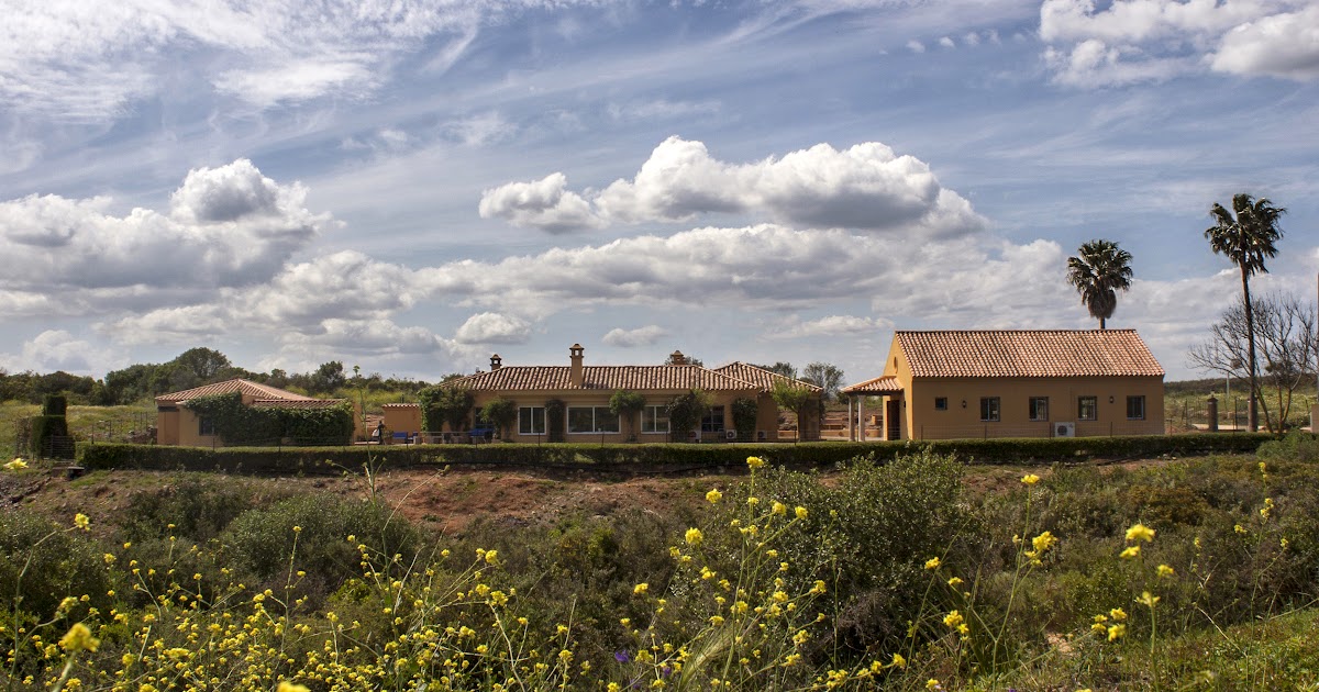 Instalaciones ~ Montenegral