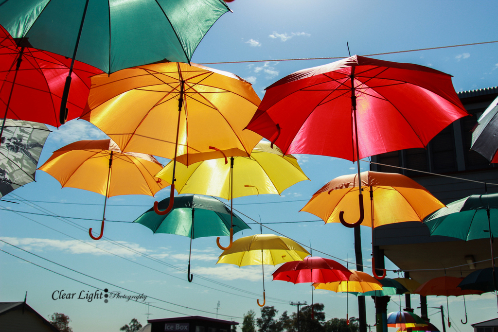 Clare's Spot The Umbrella Festival