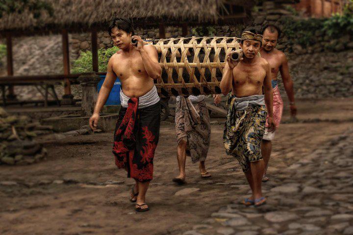 63+ Gambar Babi Penampahan Galungan Paling Hist 63+ Gambar Babi Penampahan Galungan Paling Hist