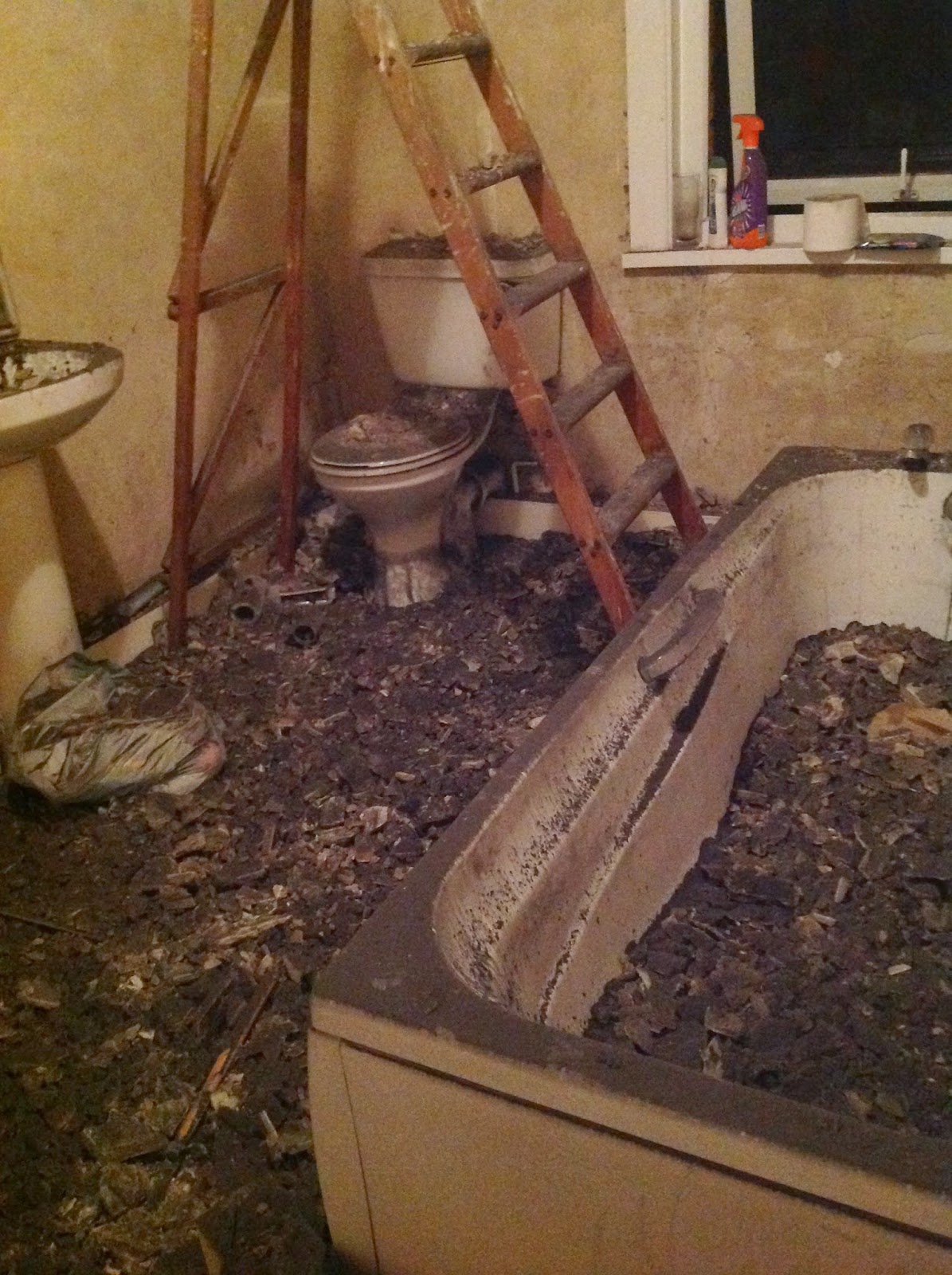 Removing Lath and Plaster Ceiling, Part 1 Kezzabeth DIY