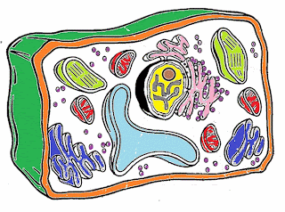 5th Grade Coloring Pages 5th Grade Coloring Pages