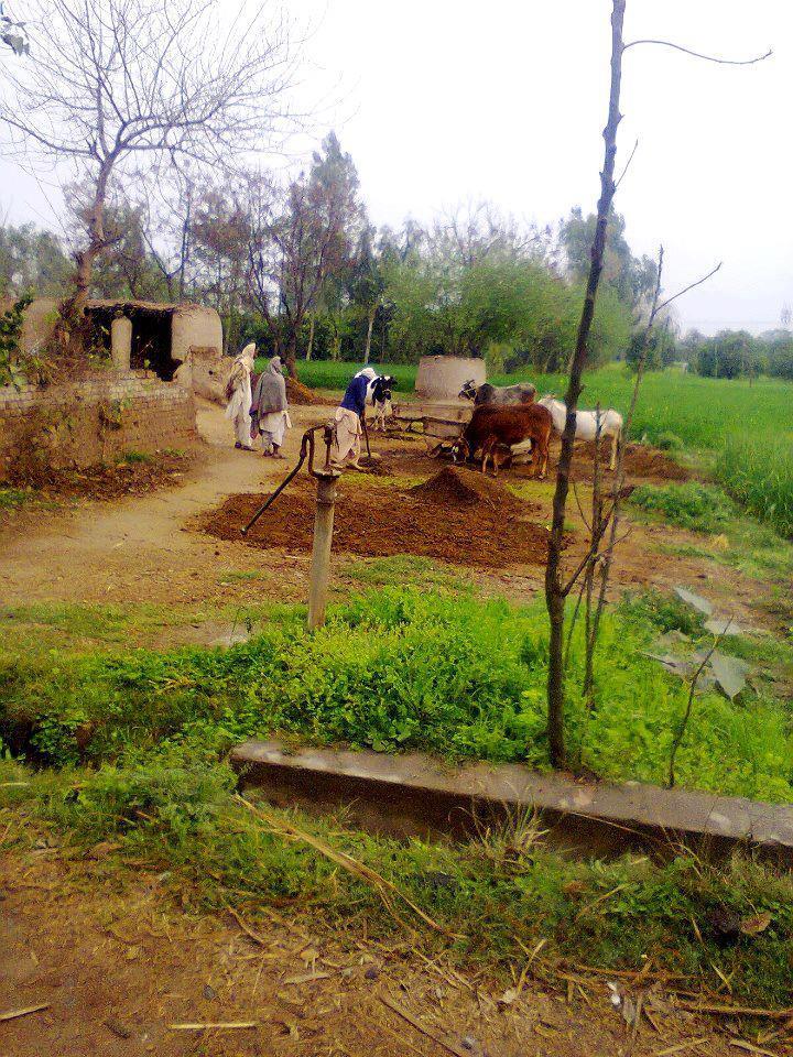 essay on life in a pakistani village Village life offers a simple picture of life a typical pakistani village is situated away from the noise of a city it is a peaceful and silent place. essay on life in a pakistani village Village life offers a simple picture of life a typical pakistani village is situated away from the noise of a city it is a peaceful and silent place.