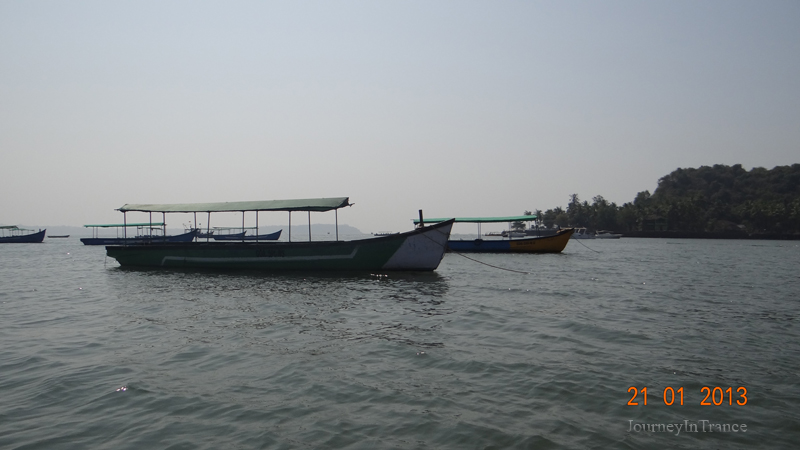 boat ed tn the backpacker date with dolphins boat ed tn the backpacker date with dolphins