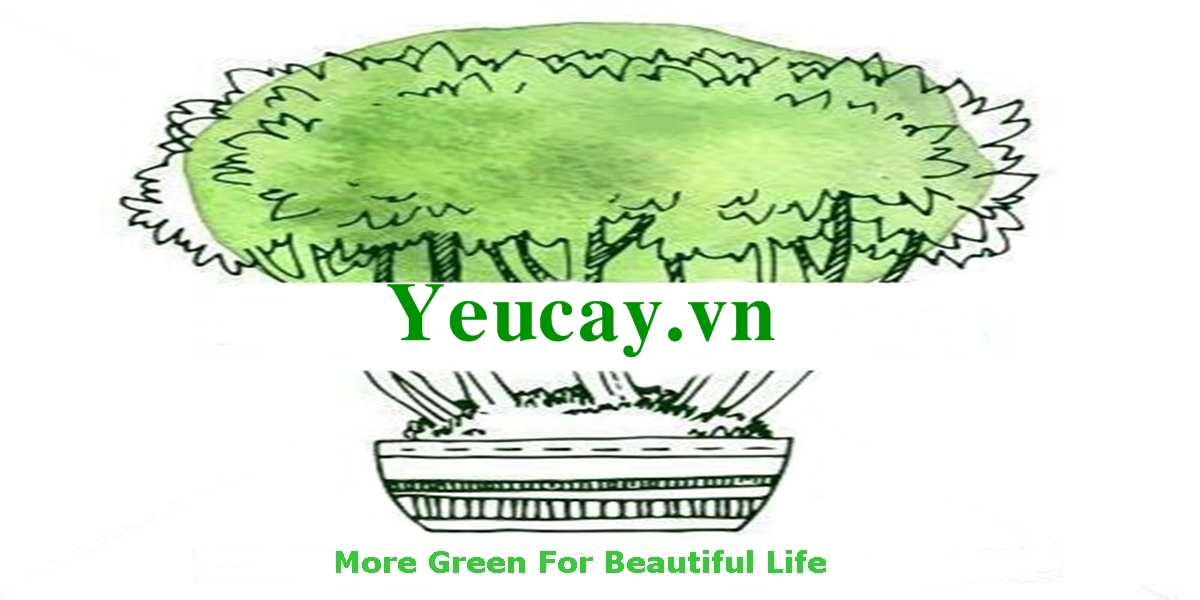 Yeucay.vn
