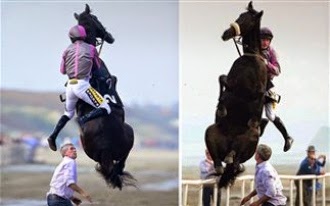Δείτε το άλογο που πηδάει στον… αέρα Δείτε το άλογο που πηδάει στον… αέρα