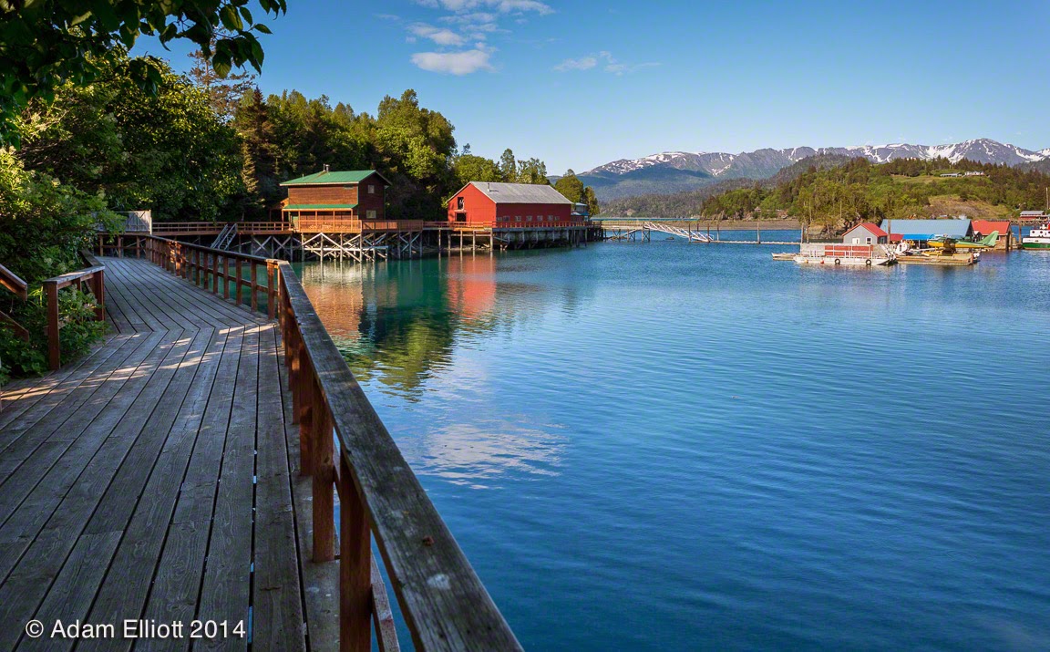 Atom's Picture Blog Halibut Cove, Alaska