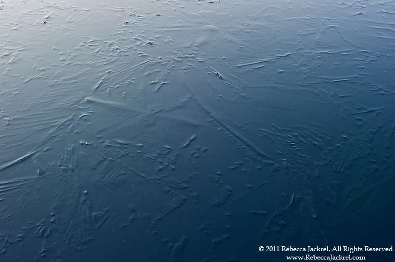 Adventures Through the Lens Grease Ice