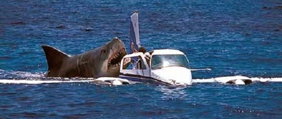 blue wave boats orlando attendre les instruction avant de sortir svp blue wave boats orlando attendre les instruction avant de sortir svp