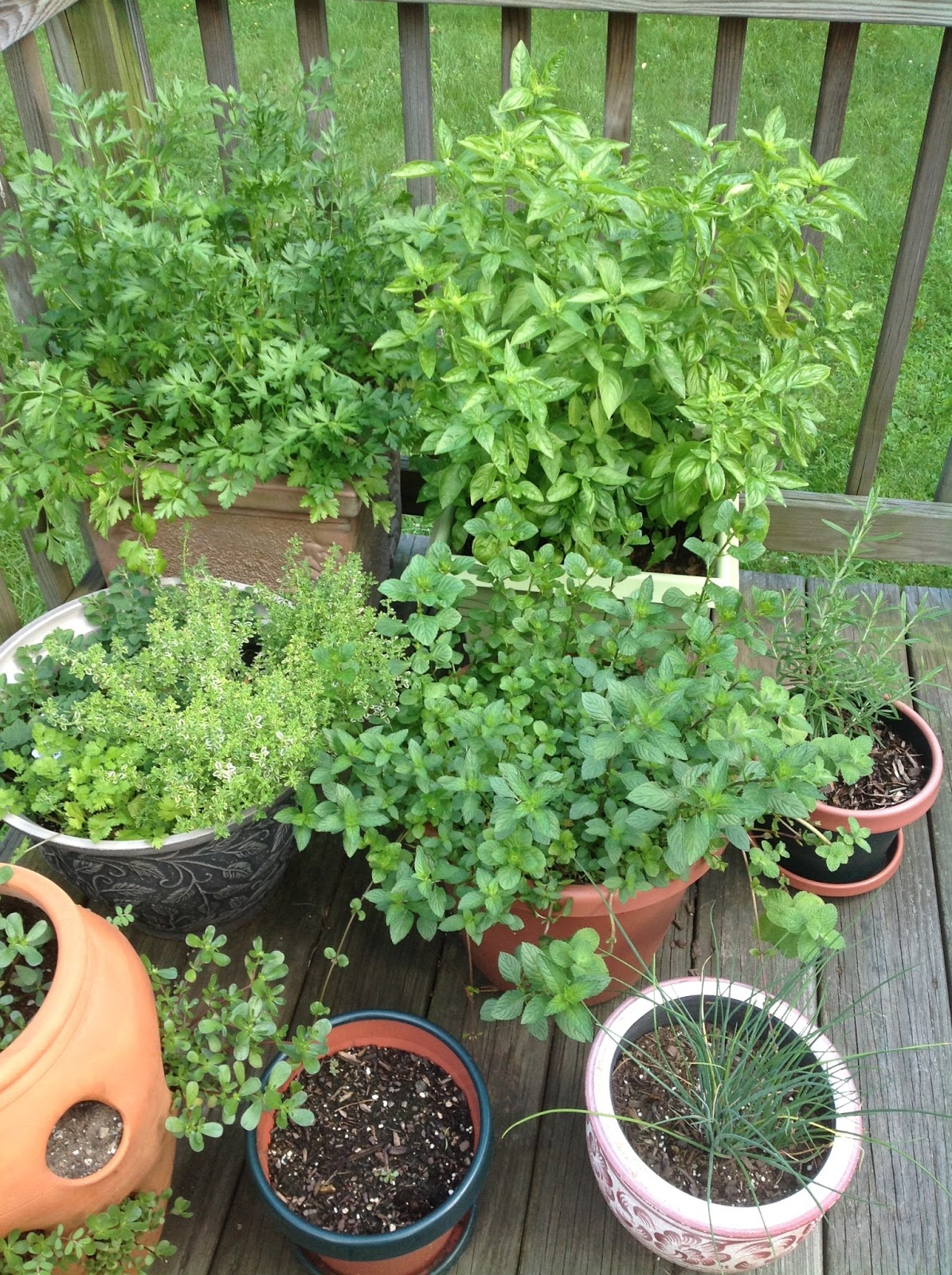 Gluten Free With Silvana Deck Herb Garden