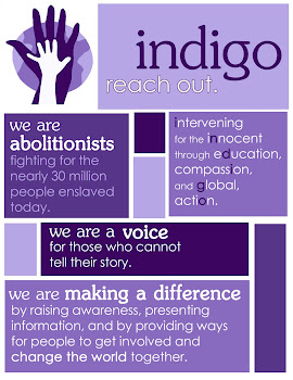 Indigo mission statement
