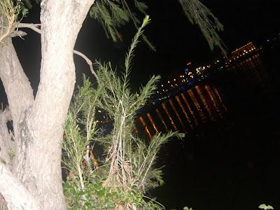 Cảnh này ở đâu ? - 1