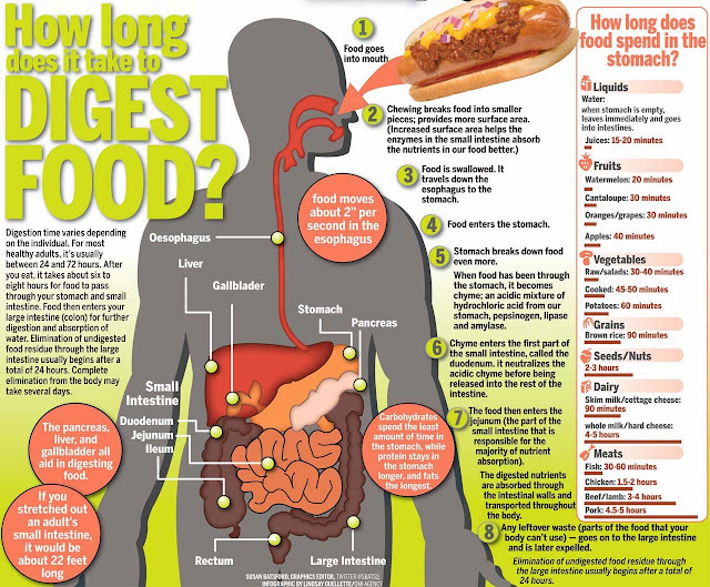 How Long Does It Take To Digest Room Temperature Water How Long Does It Take To Digest Room Temperature Water
