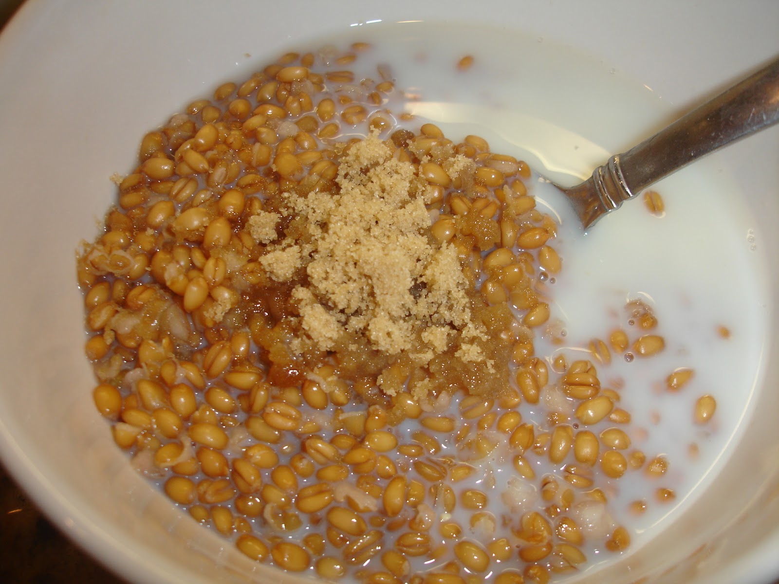 Our Provident Life Wheat Berry Porridge (Cereal)