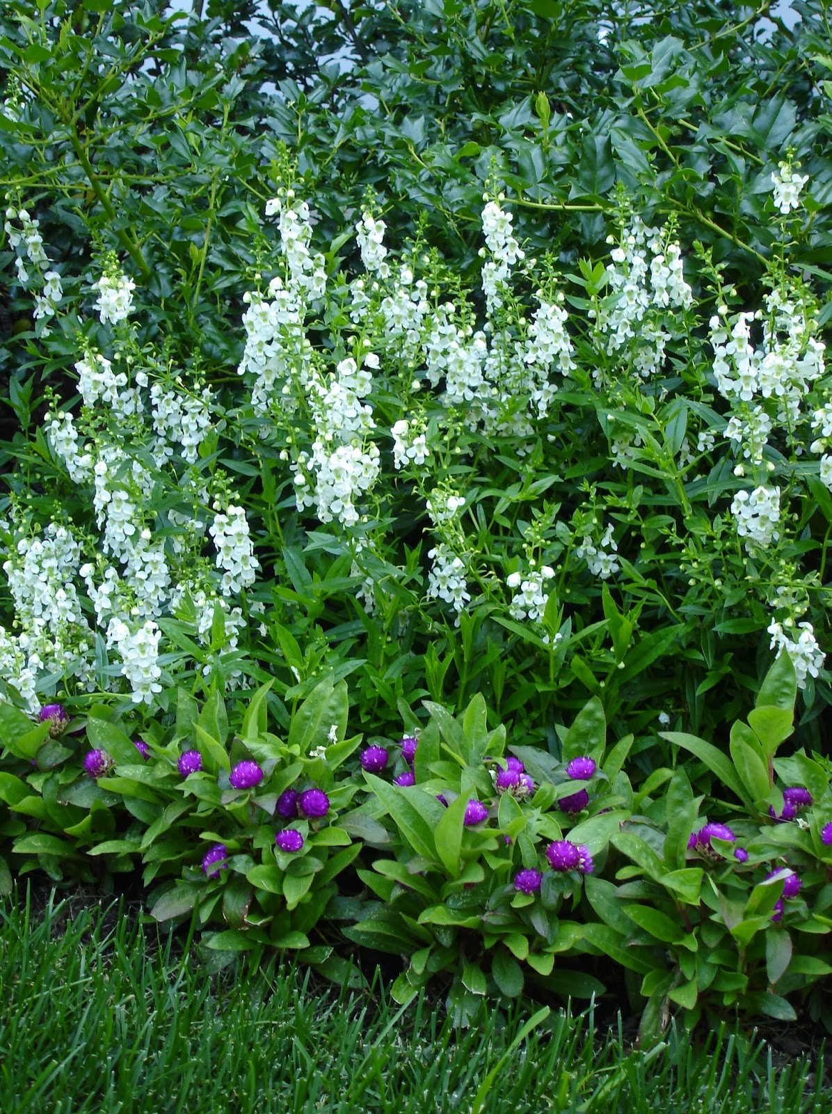 Sparkling White Plants in the Fall
