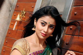 Shriya Saran Pavitra Movie photos