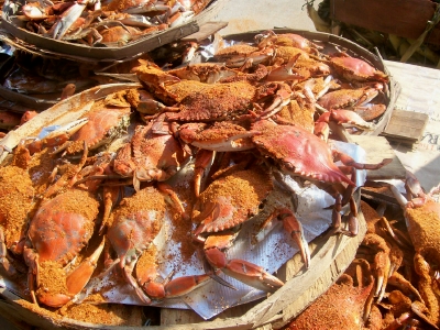 Baltimore Crab Feast David Tours Baltimore Crab Feast David Tours