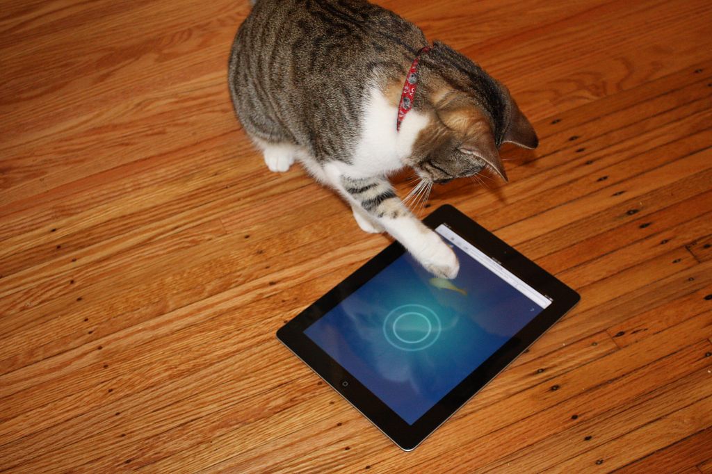 In A Galaxy Far Far Away - More on Samsung v Apple - The IPKat