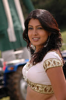 Bollywood and Tollywood acress Sheryl Brindo, hot, sexy, spicy, masala, sizzling