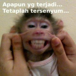 Kumpulan Gambar Terlucu Kumpulan Gambar Terlucu