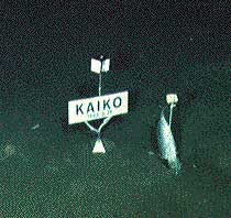 mariana trench depth