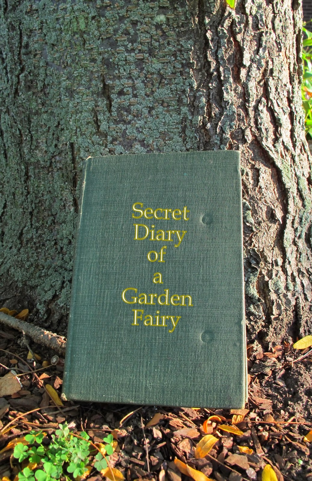 What do garden fairies look like?