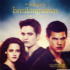 Breaking Dawn part 2: November 16th 2012