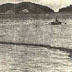The Sea Monster of Hook Island