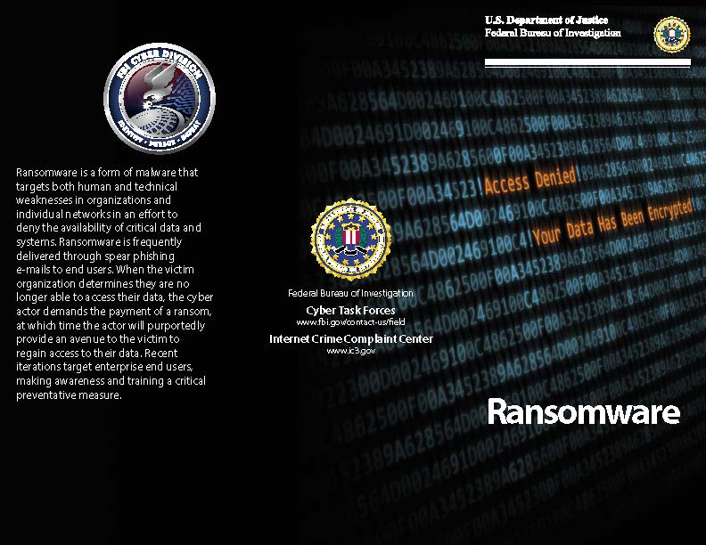 Ransomware Infographic