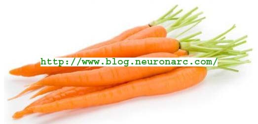 Carrots nutritional benefits image13+copy Carrots nutritional benefits