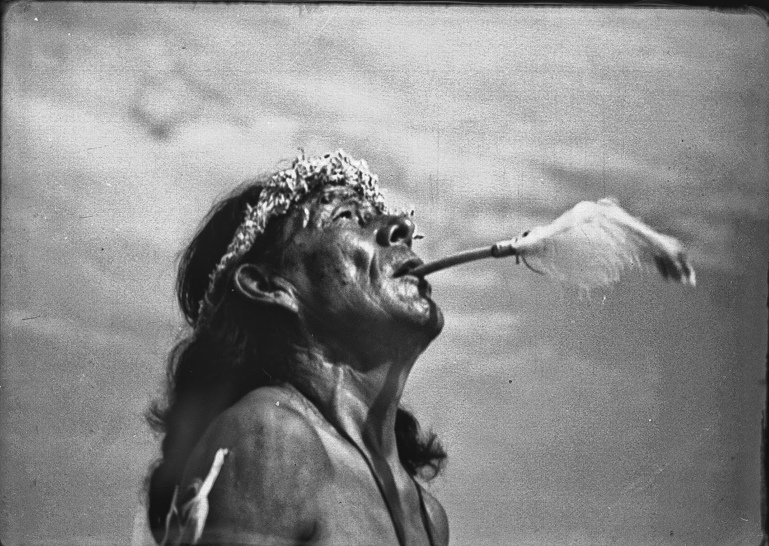 White Wolf Sacred Buffalo People How the bison and the Lakota came