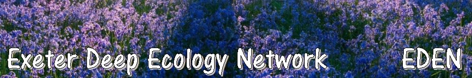 Exeter Deep Ecology Network