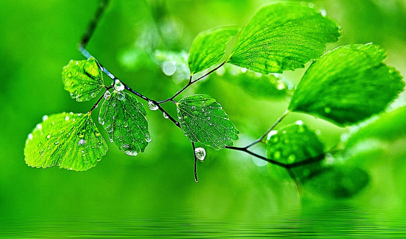 25 Hot Collection Desktop Wallpaper 25 Hot Collection Desktop Wallpaper