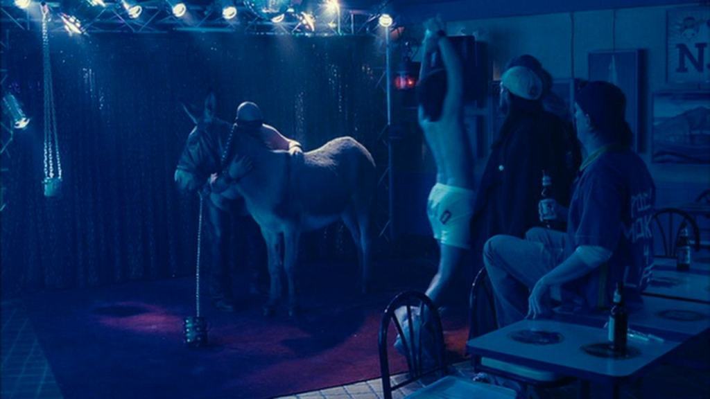 Donkey Sex Show In Tijuana Mexico.