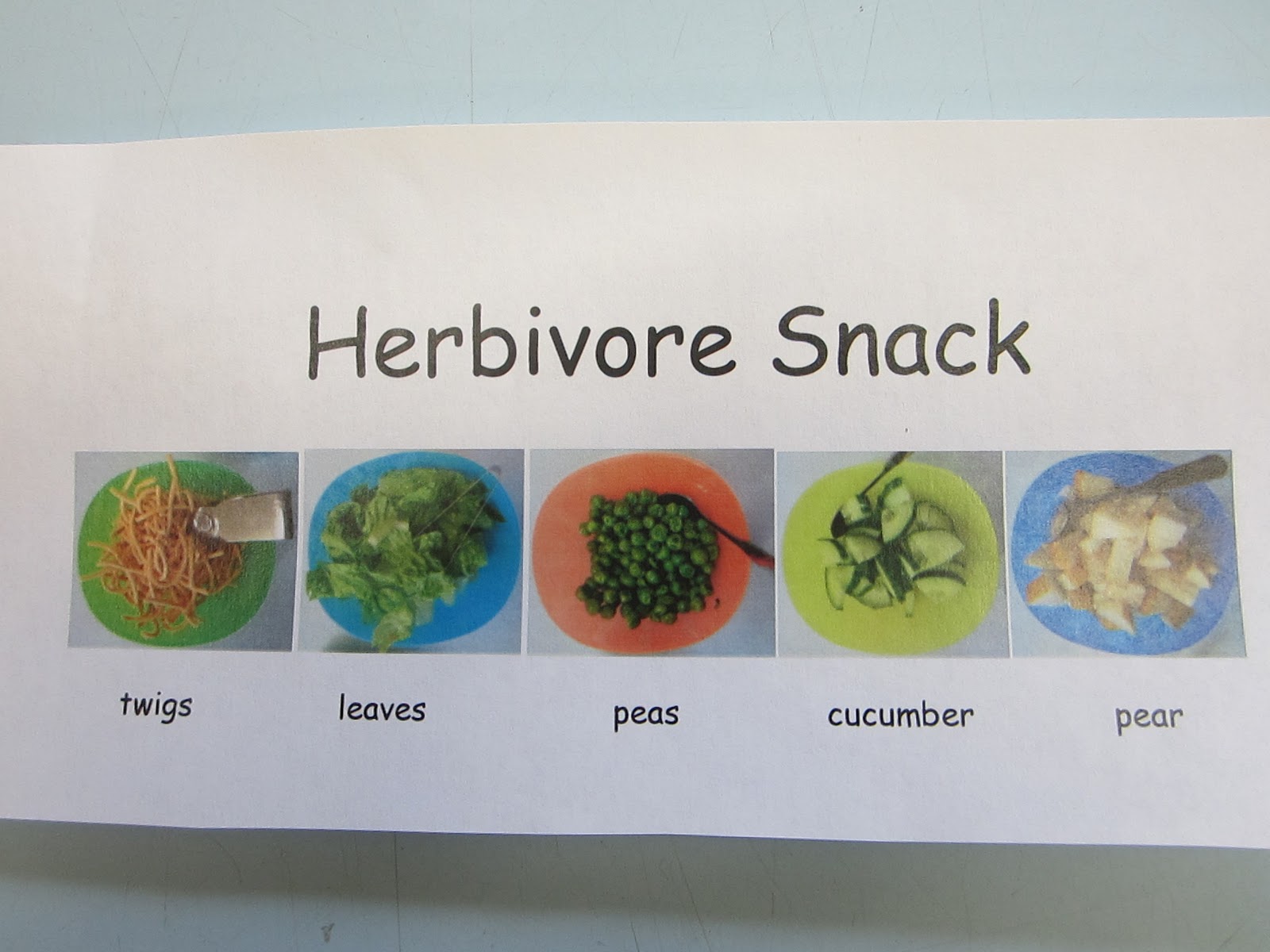 StrongStart: Herbivore Snack