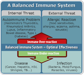 4Life asigura un sistem imunitar echilibrat