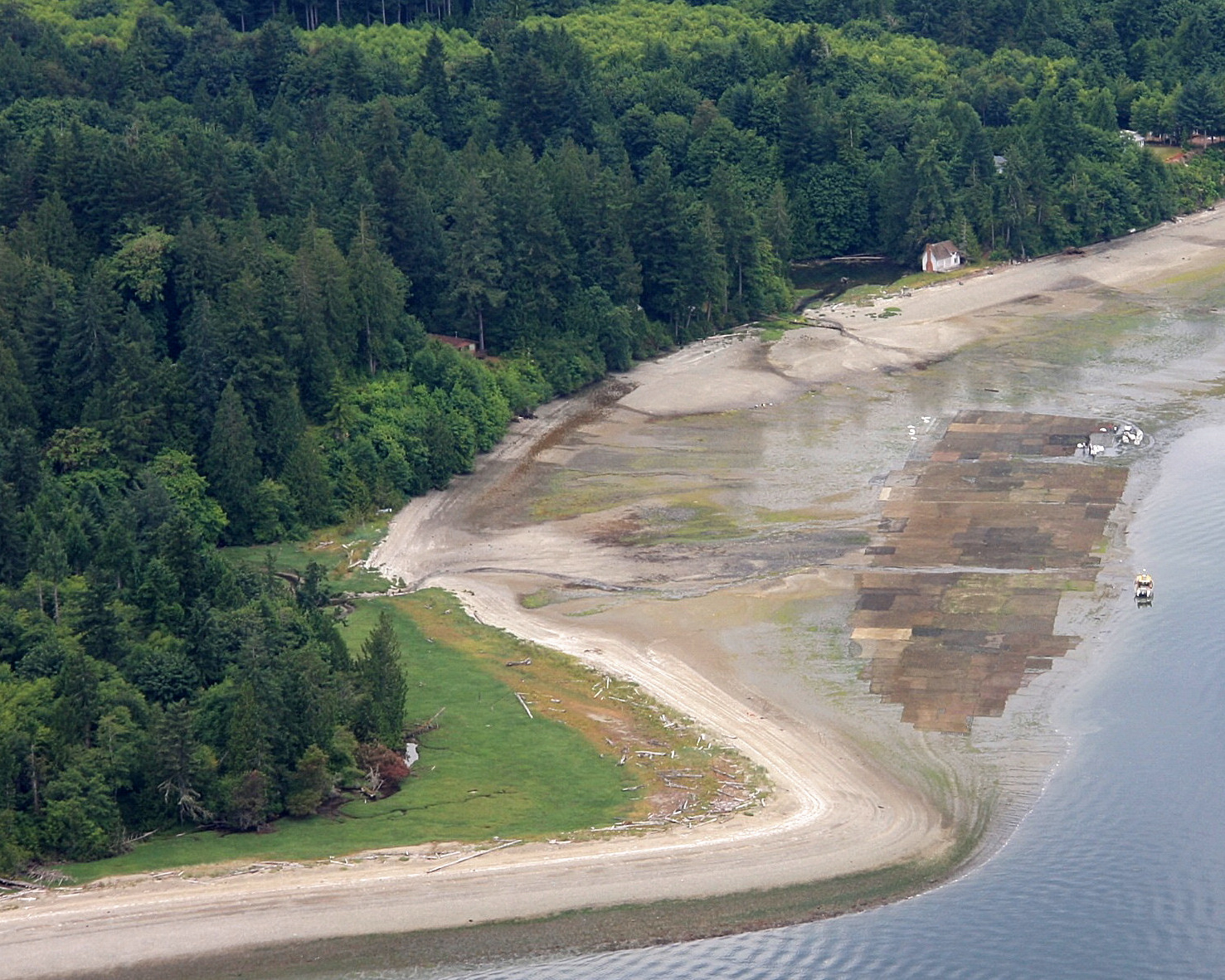 Protect Our Shoreline News Taylor Shellfish Kicks Monterey Bay