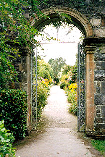 Ilnacullen Garden West Cork Garden Trail