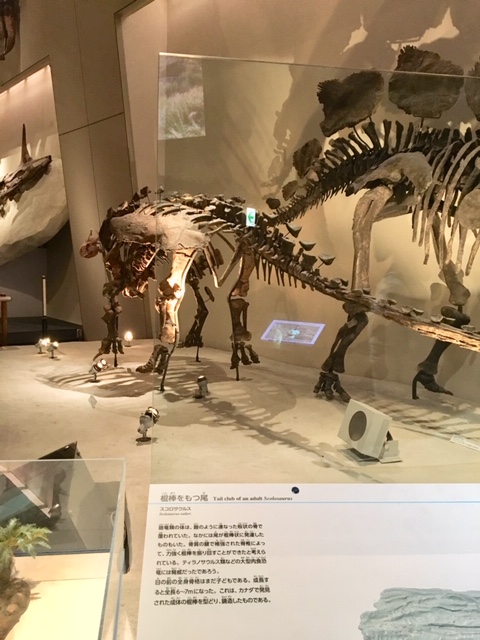 恐竜録 スコロサウルスとステゴサウルス