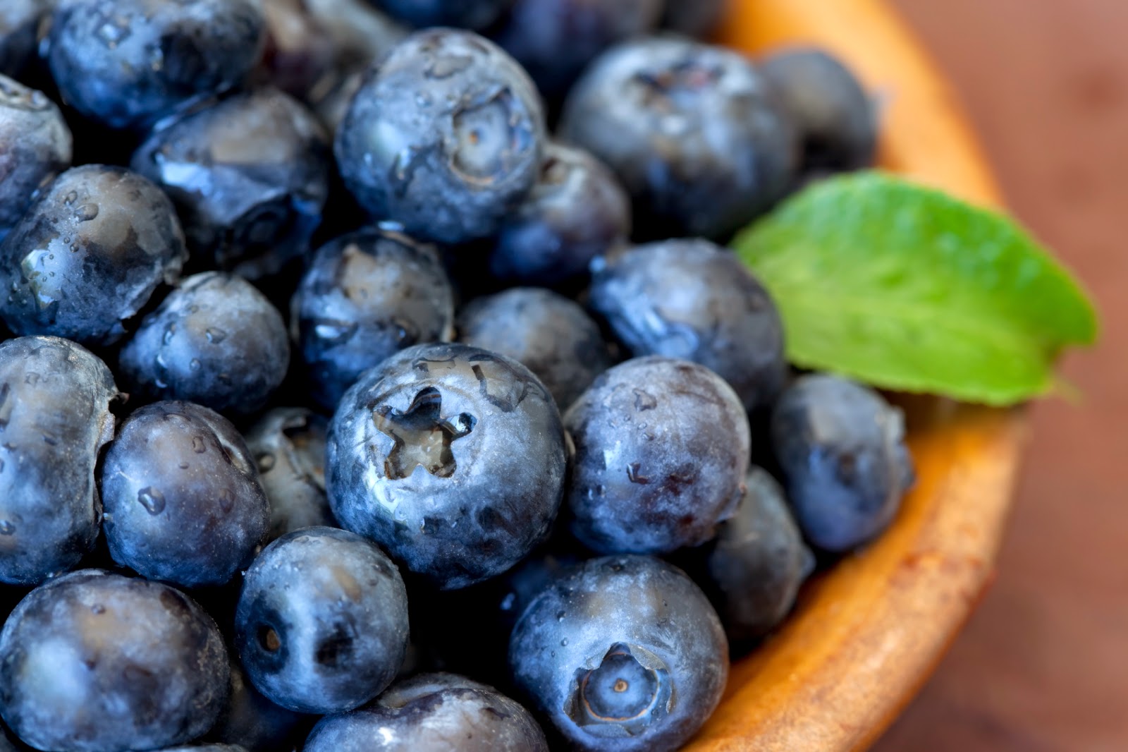 The Amazing Health Benefits of Blueberries In The Kitchen With Honeyville