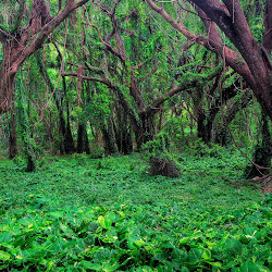 gambar pemandanag allam, fotografi alami, natural photos, wallpaper alam' border=