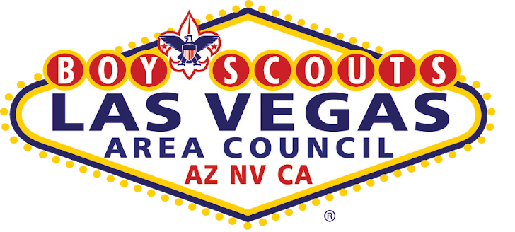 Two scouts raising funds 6