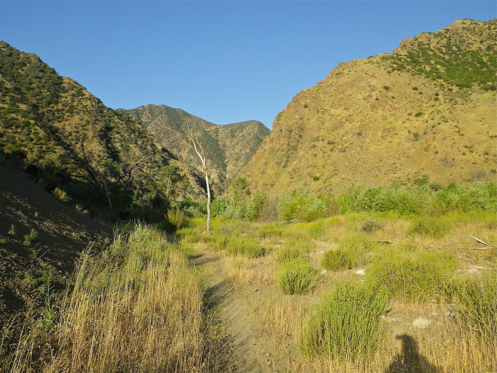 David Stillman Piru Creek, from Pyramid Lake to Lake Piru, 05/19&20/2012